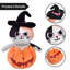 Chat en peluche citrouille d'Halloween
