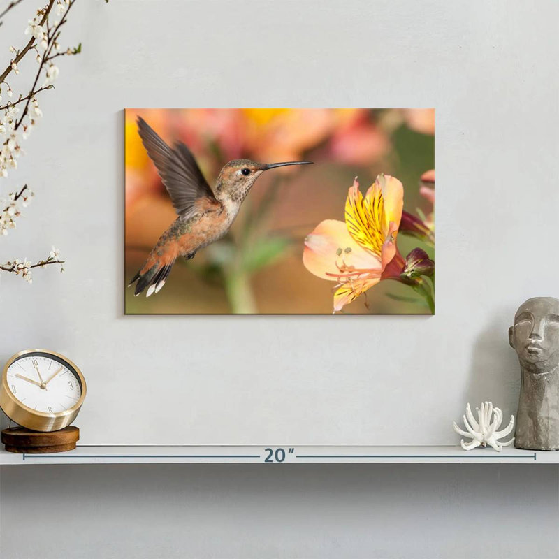 Brampt Charming Hummingbird, 8" H x 12" W