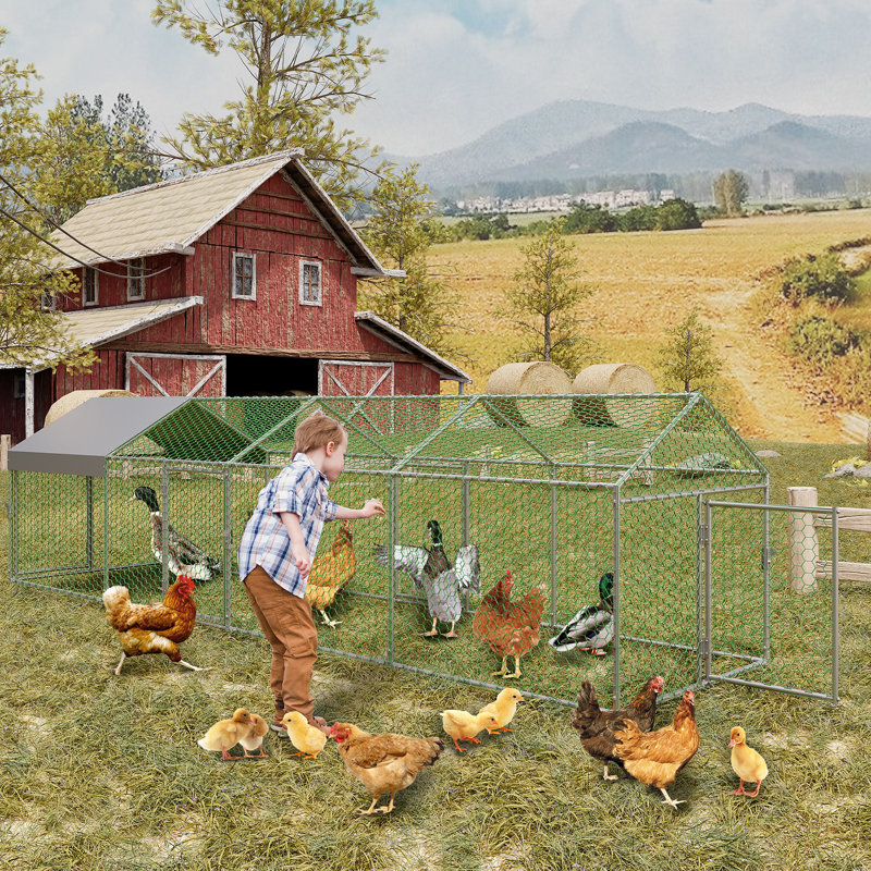 Chicken Run, Silver, 100cm H x 100cm W x 400cm D