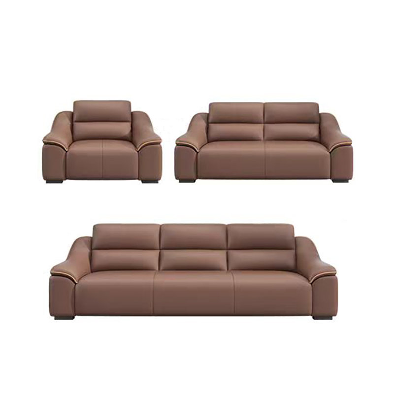 Simple elegant comfortable sofa set