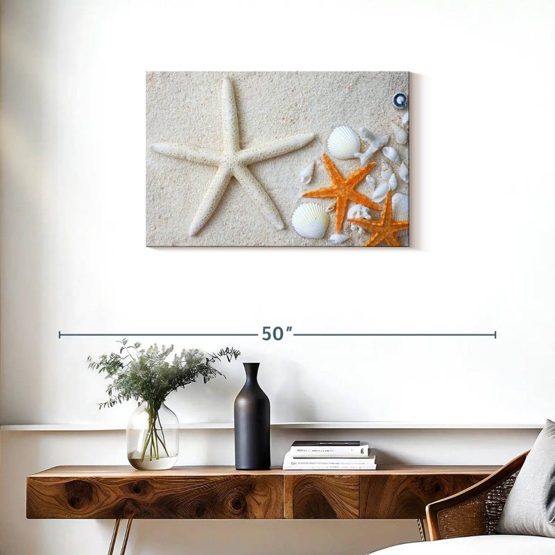Swept ashore seashells Aletra, H 20 po x l 30 po
