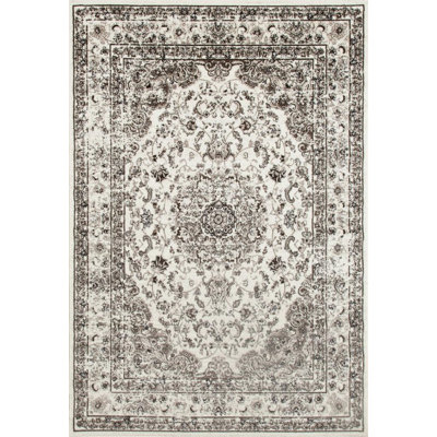 Blocher Oriental Indoor Rug