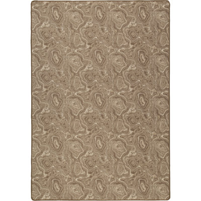 Imagine Lasting Beauty Sandstone Area Rug