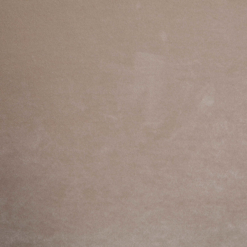 Kendall Wanaque Velvet Upholstered Bed, King, Taupe Velvet