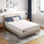 Matelas en mousse viscoélastique gélifiée 14 po-100754612