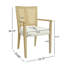 Wood Frame Dining Armchiars Set Of 2 With Rattan Back