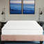 Matelas à ressorts ensachés 9 pouces, très grand, blanc, mousse pour contour de lit, très grand pour la stabilité, compressé et roulé, cadres de lit appropriés, installation facile-1185518452