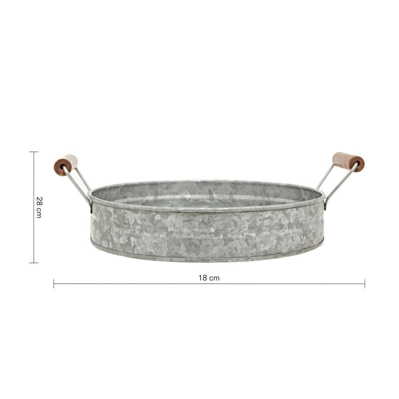 Avneet Metal Tray
