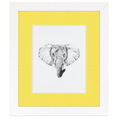Matte Picture Frame