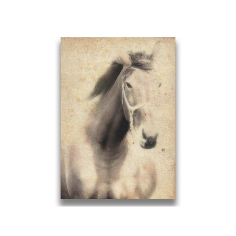 Cheval étalon par Hal Halli. Impression sur papier - Montée et encadrée, H 34 po x l 44 po