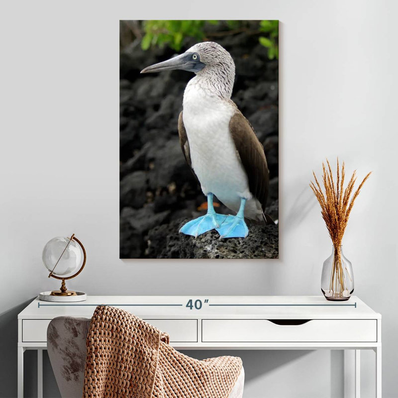 Brampt Blue-Footed Booby Birds, 30" H x 20" W