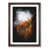 Walnut Framed selected