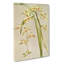 Magnolia Flowers Illustration Tab. 53 by Frederick Sander - Wrapped Canvas-55307758