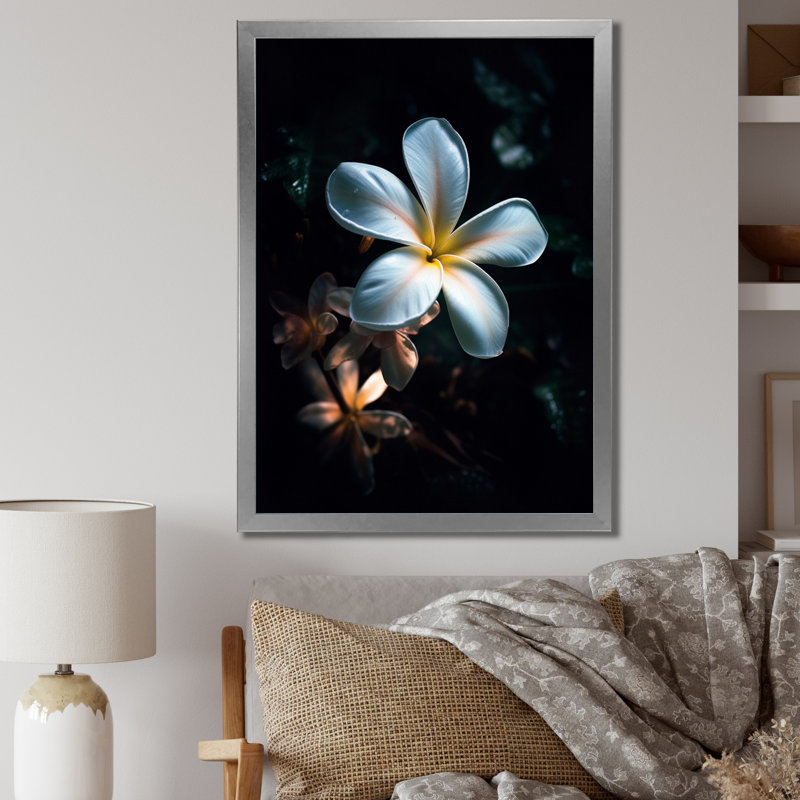 Blanc et noir exotique Plumeria Bloom III, Cadre simple argenté, H 32 po x l 24 po x P 1 po