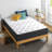 Zinus 10" Medium Hybrid Mattress-75215102