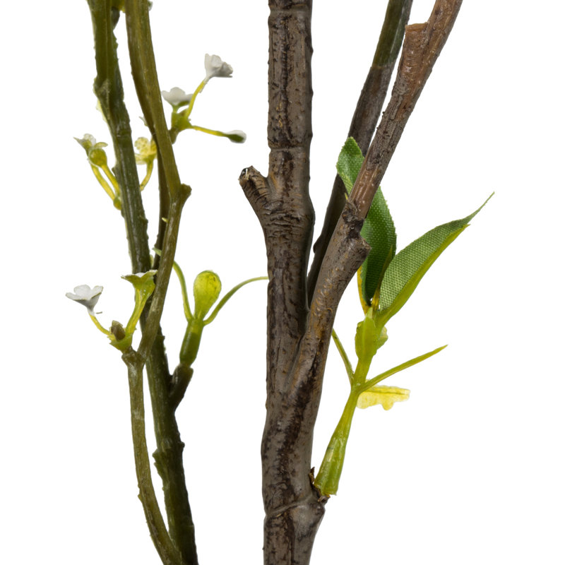 Mountain Prunus Arrangement