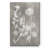 " Herbarium Study IV "-42195815