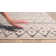 Wooley Oriental Indoor Rug