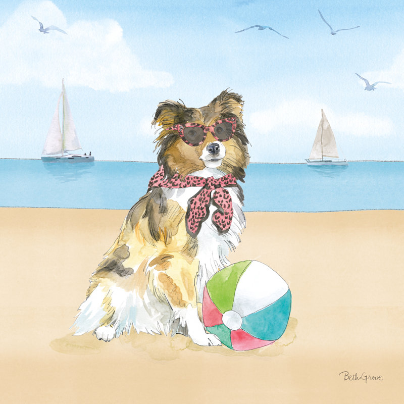 " Summer Paws V No Words ", 30" H x 30" W