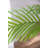 74.8'' Faux Fern Tree in Cement Pot