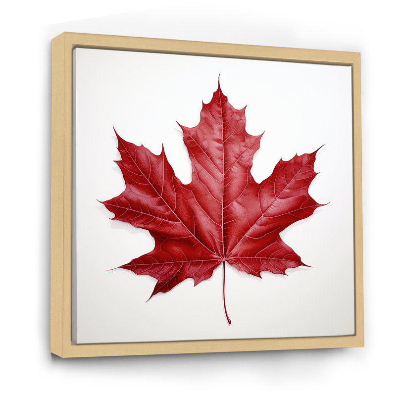 «Scarlet Maple Leaf Simplicity I», reproduction d'art sur toile encadrée, H 30 po x l 30 po x P 1 po, Cadre naturel flottant
