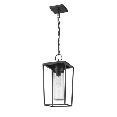 Lanterne suspendue d'extérieur 1 lumière noire Jadine