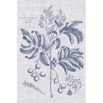 Navy & Linen Botanical IV by Vision Studio - Wrapped Canvas Print