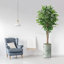 Faux Ficus Tree in Planter-86407215-116650737