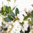 2 Gal. Mountain Snow Pieris - Flowering Evergreen Shrub for Shade to Part Sun