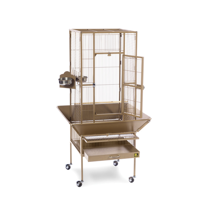 Cage à oiseaux en acier à toit plat avec roulettes Hester, H 49 po x l 18 po x P 18 po, Brun cacao