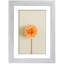 Single Picture Frame - Frames Included: 6-79322731