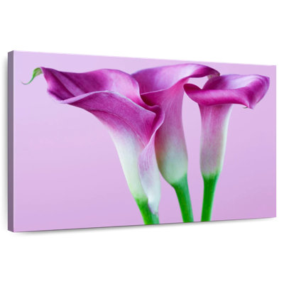 Trois lys mauves Harnek