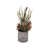 Anahera Collection Place Cold Holder
