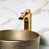 Brushed Gold is out of stock