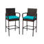 Tabouret 30 "avec coussin-1427732824