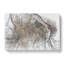 Curious Cat In Abstract - Wrapped Canvas Print-55313704