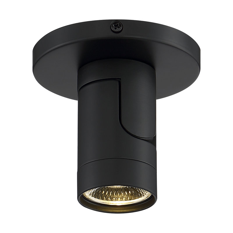 Aalivia LED Flush Mount, Black