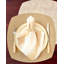 Brushstroke 21" Napkins-526672201