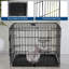 Small Animal-1761776388-1761776389