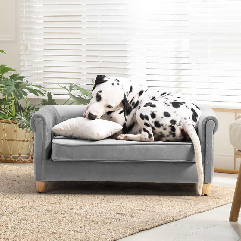 Dalibor Polyester Pet Bed