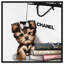 «Fashion Book Yorkie Glam Custom», impression-66971885-66971884