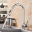 Belfry Kitchen Bauerle Pull Out Kitchen Faucet