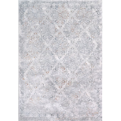 Oriental Indoor Rug
