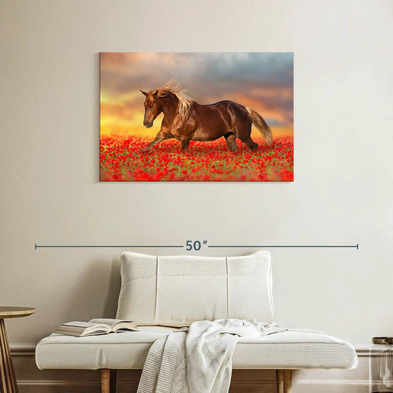 Horse In Poppy Field, 24" H x 36" W