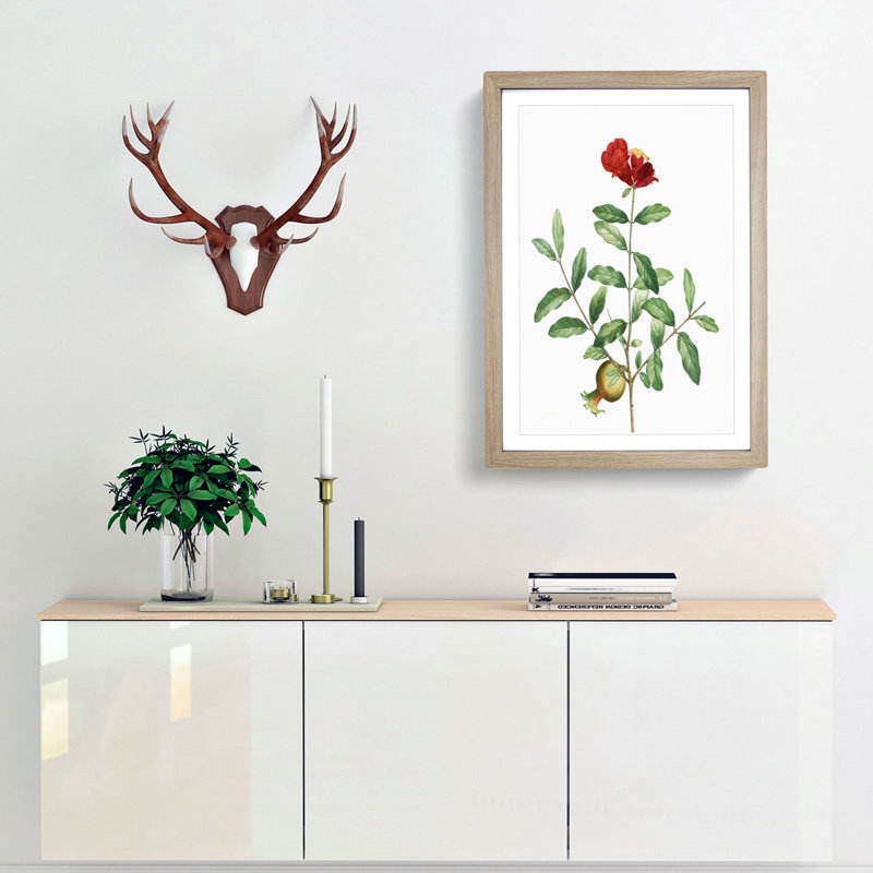 Pomegranate Tree Branch by Pierre-Joseph Redoute - Picture Frame Painting Print, 48cm H x 36cm W x 2cm D, Oak Framed