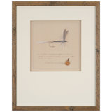 Blue Quill Fly Print