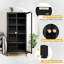 Dalziel 27.6'' Wide 4 - Shelf Storage Cabinet-1580397010
