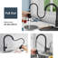 Latitude Run Azizuddin Kitchen Faucet