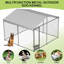 Dog House