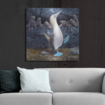 " Blue Footed Boobies " by Harro Maass